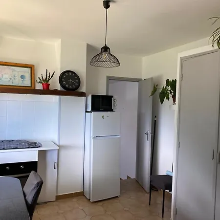 Studio Cervione Apartment *